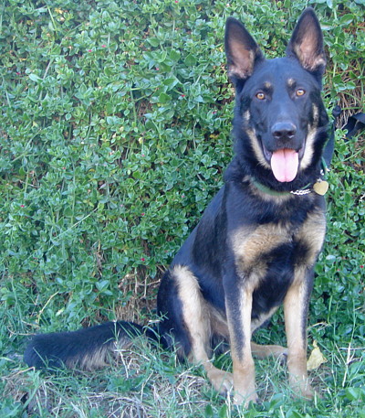 oliver von sonnenshein sitting